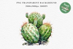 Desert Cactus Succulent Flowers Floral Clipart PNG Scrapbook Nursery Watercolor Transparent wedding invitation shirt designs sublimation printable digital bloom watercolor Desert Cactus, Succulent flowers clipart, victorian floral nursery art, spring invi