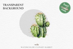 Desert Cactus Succulent Flowers Floral Clipart PNG Scrapbook Nursery Watercolor Transparent wedding invitation shirt designs sublimation printable digital bloom watercolor Desert Cactus, Succulent flowers clipart, victorian floral nursery art, spring invi