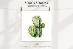 Desert Cactus Succulent Flowers Floral Clipart PNG Scrapbook Nursery Watercolor Transparent wedding invitation shirt designs sublimation printable digital bloom watercolor Desert Cactus, Succulent flowers clipart, victorian floral nursery art, spring invi