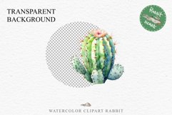 Desert Cactus Succulent Flowers Floral Clipart PNG Scrapbook Nursery Watercolor Transparent wedding invitation shirt designs sublimation printable digital bloom watercolor Desert Cactus, Succulent flowers clipart, victorian floral nursery art, spring invi