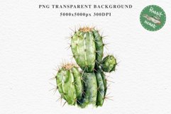 Desert Cactus Succulent Flowers Floral Clipart PNG Scrapbook Nursery Watercolor Transparent wedding invitation shirt designs sublimation printable digital bloom watercolor Desert Cactus, Succulent flowers clipart, victorian floral nursery art, spring invi