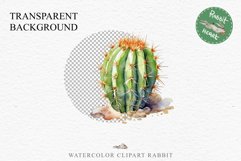 Desert Cactus Succulent Flowers Floral Clipart PNG Scrapbook Nursery Watercolor Transparent wedding invitation shirt designs sublimation printable digital bloom watercolor Desert Cactus, Succulent flowers clipart, victorian floral nursery art, spring invi