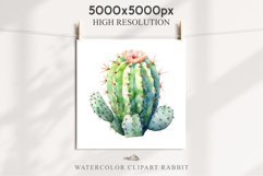 Desert Cactus Succulent Flowers Floral Clipart PNG Scrapbook Nursery Watercolor Transparent wedding invitation shirt designs sublimation printable digital bloom watercolor Desert Cactus, Succulent flowers clipart, victorian floral nursery art, spring invi