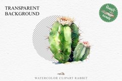 Desert Cactus Succulent Flowers Floral Clipart PNG Scrapbook Nursery Watercolor Transparent wedding invitation shirt designs sublimation printable digital bloom watercolor Desert Cactus, Succulent flowers clipart, victorian floral nursery art, spring invi