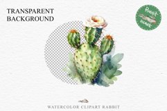 Desert Cactus Succulent Flowers Floral Clipart PNG Scrapbook Nursery Watercolor Transparent wedding invitation shirt designs sublimation printable digital bloom watercolor Desert Cactus, Succulent flowers clipart, victorian floral nursery art, spring invi