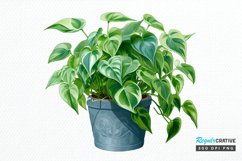 Houseplants In Pot Sublimation PNG Clipart Product Image 1