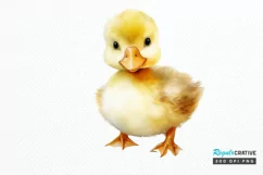 Cute Baby Duck Watercolor PNG Clipart Product Image 1