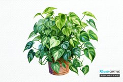 Houseplants In Pot Sublimation PNG Clipart Product Image 1
