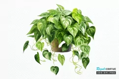 Houseplants In Pot Sublimation PNG Clipart Product Image 1
