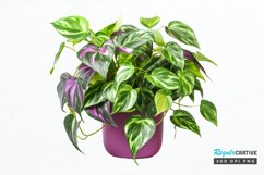 Houseplants In Pot Sublimation PNG Clipart Product Image 1