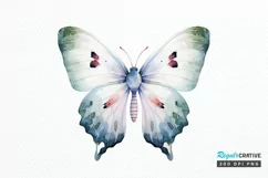 Watercolor Mystical Moth PNG Clipart Product Image 1