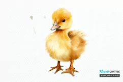 Cute Baby Duck Watercolor PNG Clipart Product Image 1
