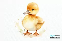 Cute Baby Duck Watercolor PNG Clipart Product Image 1