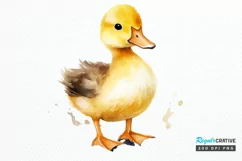 Cute Baby Duck Watercolor PNG Clipart Product Image 1