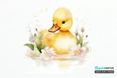 Cute Baby Duck Watercolor PNG Clipart Product Image 1