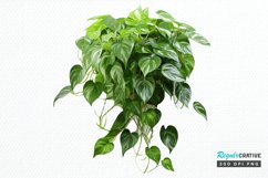 Houseplants In Pot Sublimation PNG Clipart Product Image 1