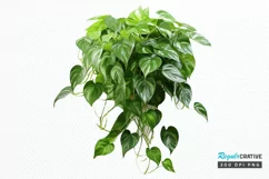 Houseplants In Pot Sublimation PNG Clipart Product Image 1
