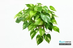 Houseplants In Pot Sublimation PNG Clipart Product Image 1