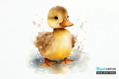 Cute Baby Duck Watercolor PNG Clipart Product Image 1