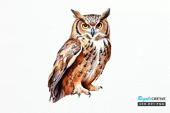 Owl Watercolor PNG Clipart Product Image 1