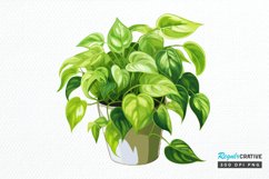 Houseplants In Pot Sublimation PNG Clipart Product Image 1
