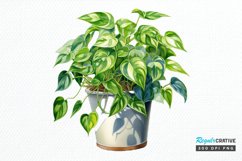 Houseplants In Pot Sublimation PNG Clipart Product Image 3