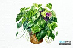 Houseplants In Pot Sublimation PNG Clipart Product Image 1