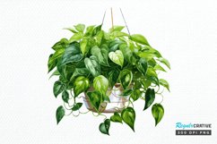 Houseplants In Pot Sublimation PNG Clipart Product Image 1