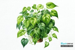 Houseplants In Pot Sublimation PNG Clipart Product Image 1