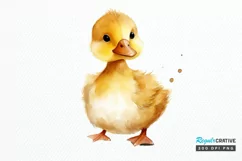 Cute Baby Duck Watercolor PNG Clipart Product Image 1