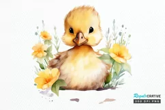 Cute Baby Duck Watercolor PNG Clipart Product Image 1