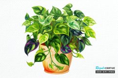 Houseplants In Pot Sublimation PNG Clipart Product Image 1