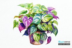 Houseplants In Pot Sublimation PNG Clipart Product Image 1