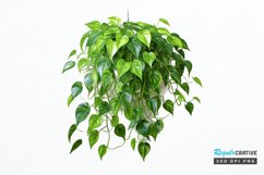 Houseplants In Pot Sublimation PNG Clipart Product Image 1