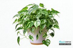 Houseplants In Pot Sublimation PNG Clipart Product Image 1