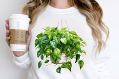 Houseplants In Pot Sublimation PNG Clipart Product Image 2