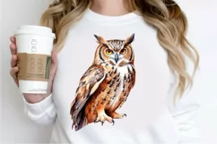 Owl Watercolor PNG Clipart Product Image 2