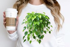 Houseplants In Pot Sublimation PNG Clipart Product Image 2