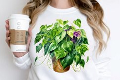 Houseplants In Pot Sublimation PNG Clipart Product Image 2