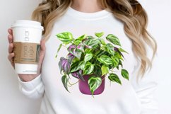 Houseplants In Pot Sublimation PNG Clipart Product Image 2