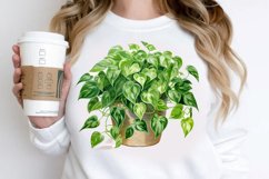 Houseplants In Pot Sublimation PNG Clipart Product Image 2