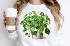 Houseplants In Pot Sublimation PNG Clipart Product Image 2