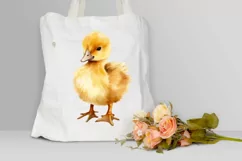 Cute Baby Duck Watercolor PNG Clipart Product Image 3