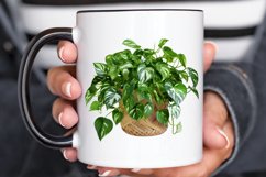 Houseplants In Pot Sublimation PNG Clipart Product Image 3