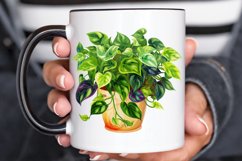 Houseplants In Pot Sublimation PNG Clipart Product Image 3