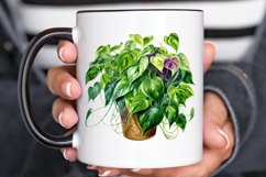 Houseplants In Pot Sublimation PNG Clipart Product Image 3