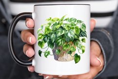 Houseplants In Pot Sublimation PNG Clipart Product Image 3