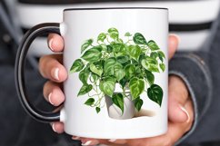 Houseplants In Pot Sublimation PNG Clipart Product Image 3