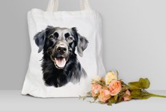 Dog Painting Sublimation PNG Clipart Product Image 3