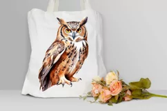 Owl Watercolor PNG Clipart Product Image 3